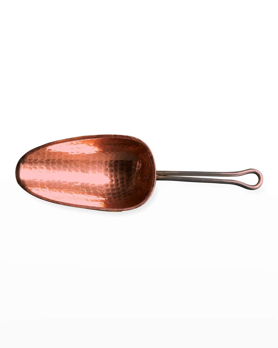 Dry Goods/Ice Scoop
